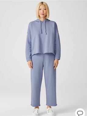 Eileen Fisher Organic Cotton French Terry Hoodie & Wide leg pants two piece set